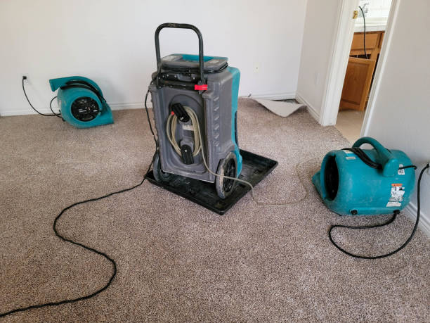 Best Water damage restoration near me  in Ridge, NY
