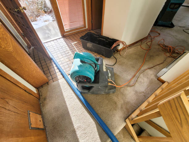 Best Residential water damage restoration  in Ridge, NY