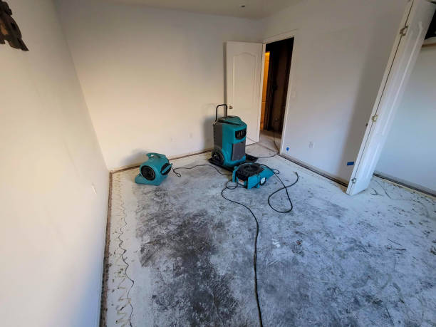 Best Sewage cleanup and water damage restoration  in Ridge, NY