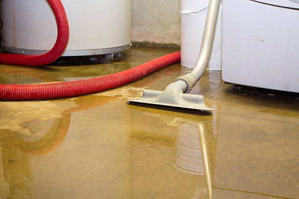 Best Flood damage cleanup  in Ridge, NY