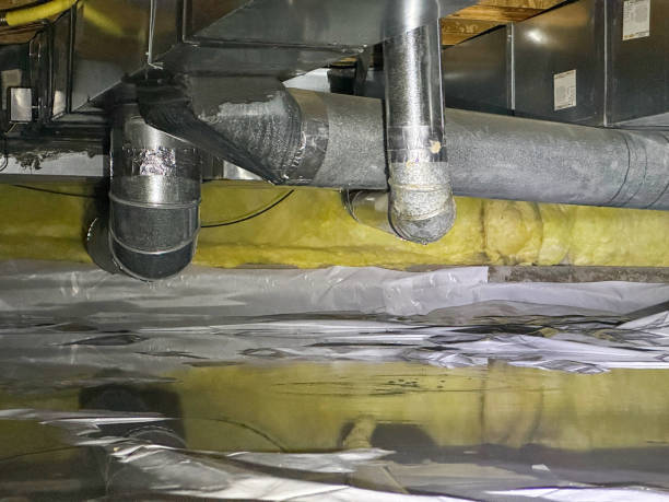Best Water damage restoration mold remediation  in Ridge, NY