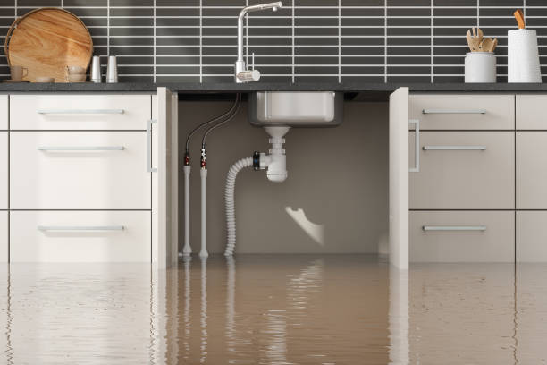 Best Flood restoration services  in Ridge, NY