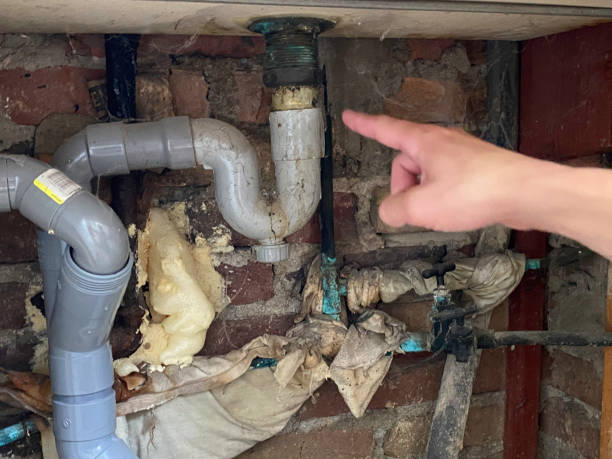 Best Water damage restoration company  in Ridge, NY