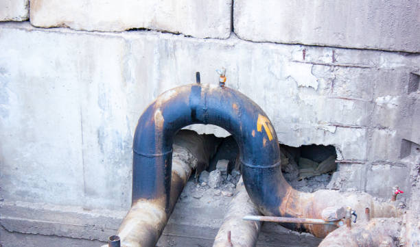 Best Water damage cleanup near me  in Ridge, NY