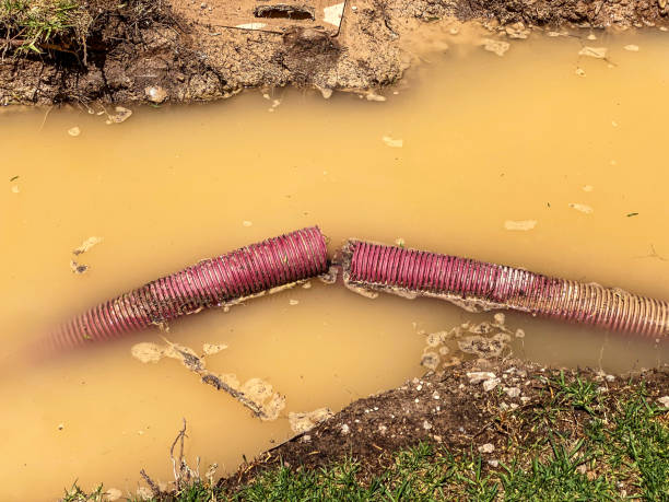 Best Basement water damage restoration  in Ridge, NY