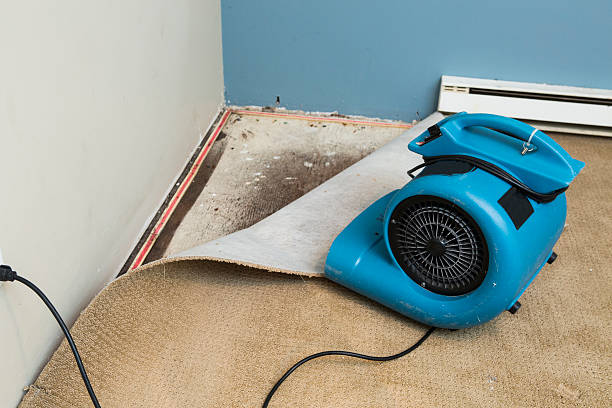  Ridge, NY Water damage restoration Pros